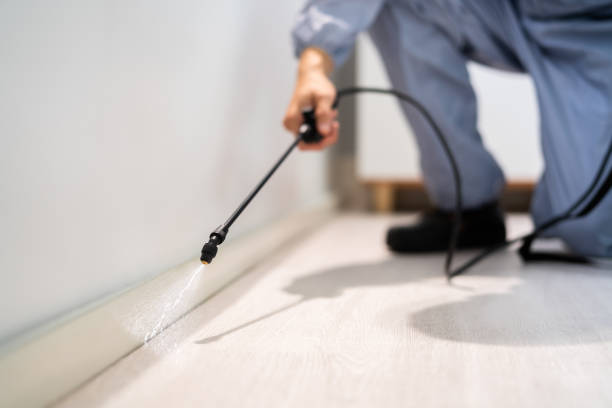 Licensed Rodent Control service in Parkersburg, WV - Nex Pest Control