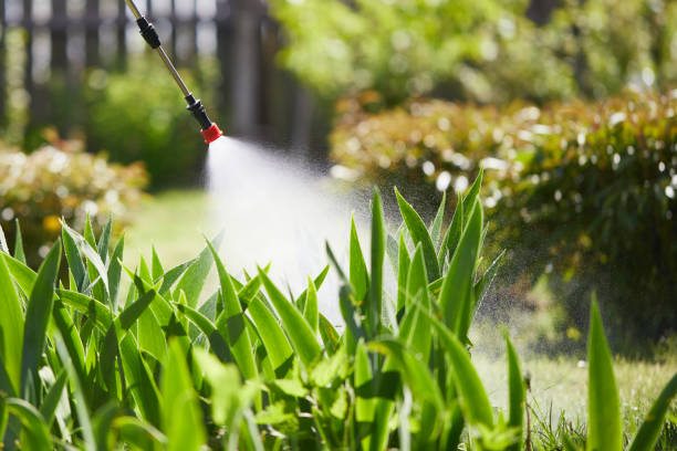 24/7 Emergency Rodent Control experts in Parkersburg, WV