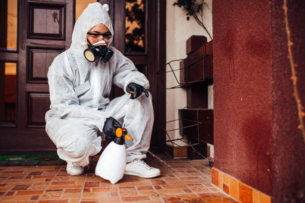 Reliable Rodent Control contractor in Parkersburg, WV by Nex Pest Control
