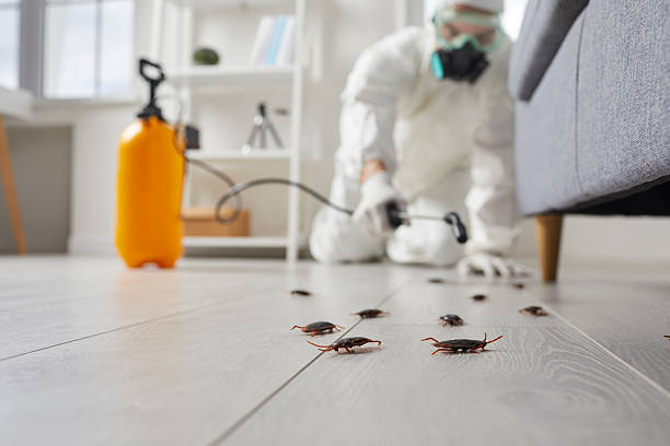 Trusted Mosquito Control service in Parkersburg, WV - Nex Pest Control