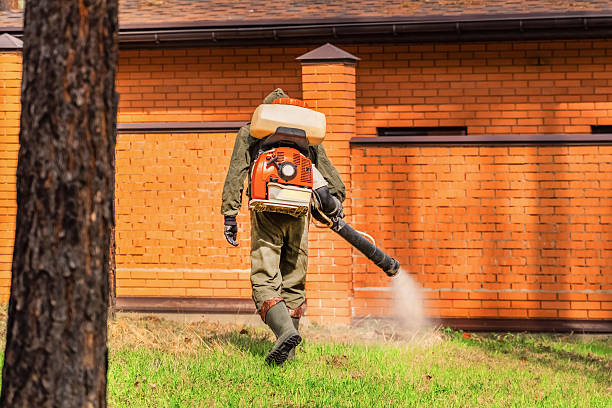 Trusted Emergency Pest Control service in Parkersburg, WV - Nex Pest Control